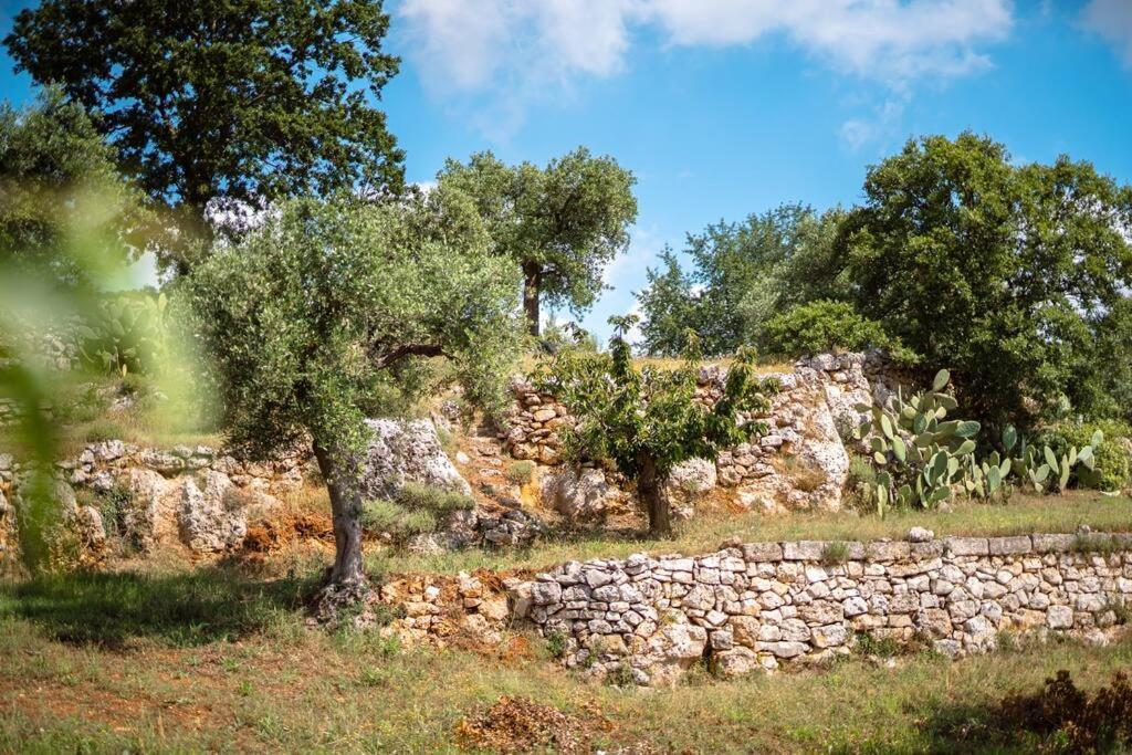 Trullo Caelum Villa Alberobello Exterior photo